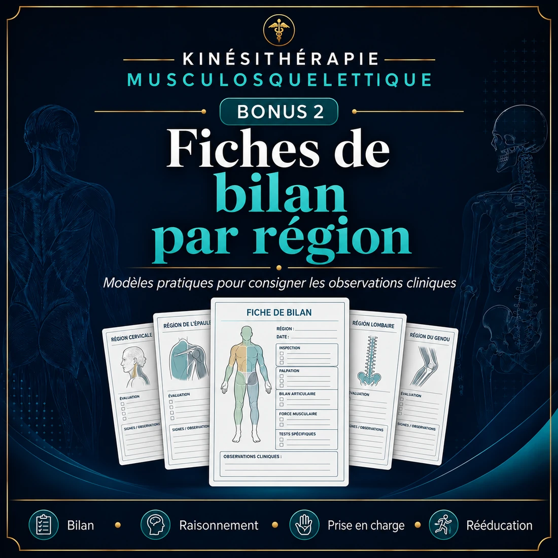 Bonus 2 — Fiches de bilan par région