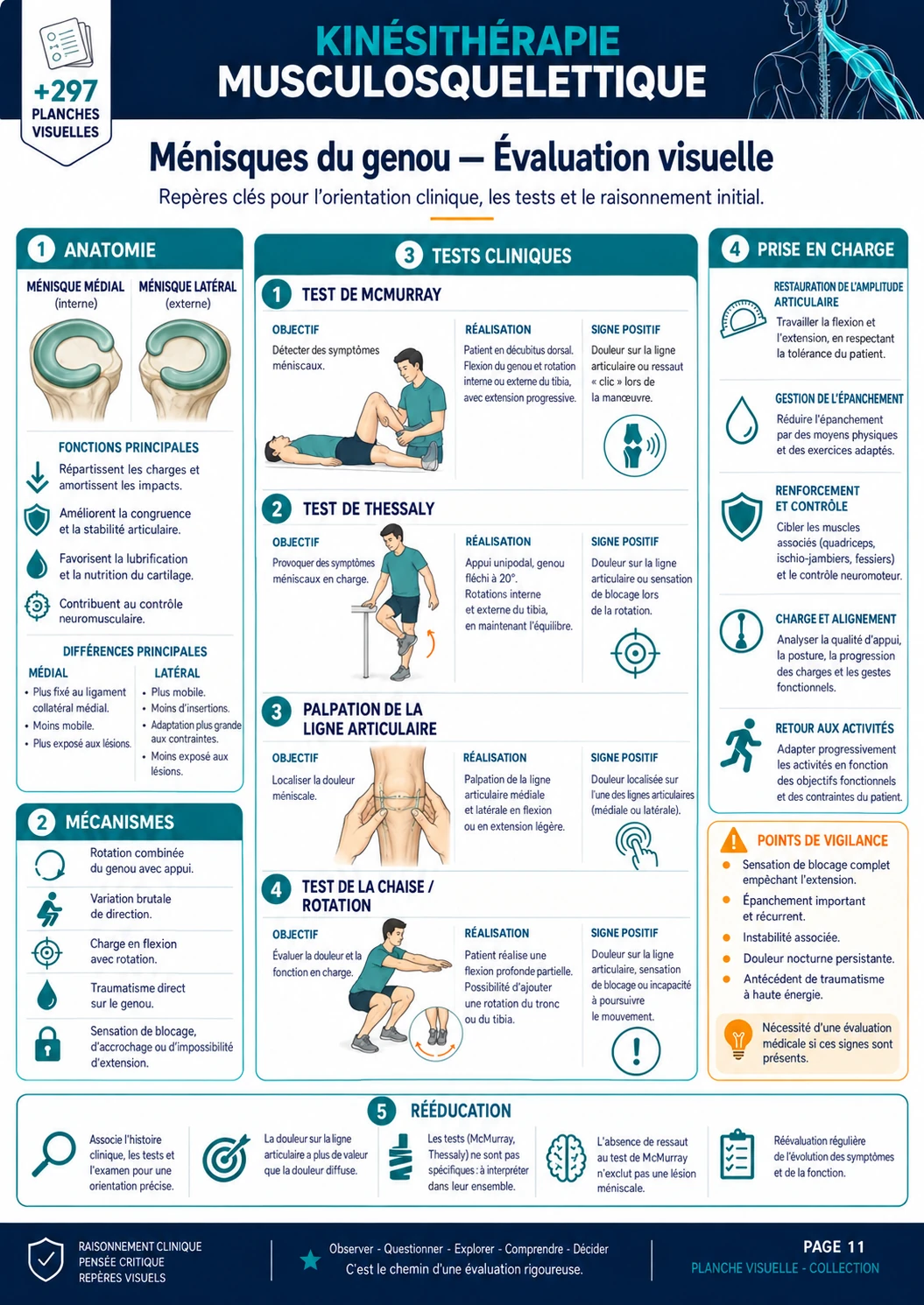 Ligament croisé antérieur